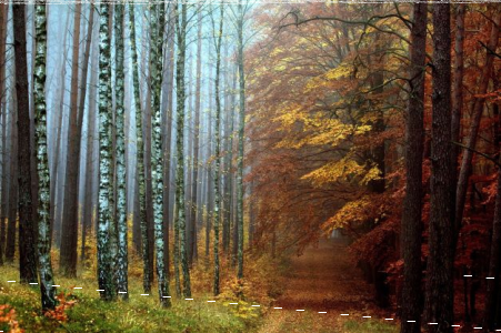 Konkurs fotograficzny "Kolory jesieni"