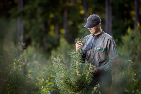 Konkurs "Czy znasz prace leśne?"