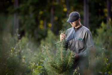 Konkurs "Czy znasz prace leśne?"
