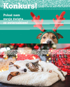 Konkurs "Pochwal się zwierzakiem"