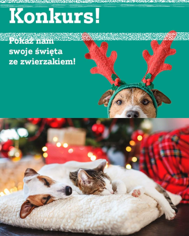 Konkurs "Pochwal się zwierzakiem"