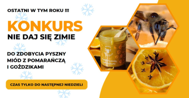 Konkurs "Nie daj się zimie"