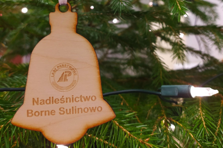 Konkurs fotograficzny "Moja choinka"