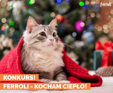Konkurs "Ferroli - kocham ciepło"