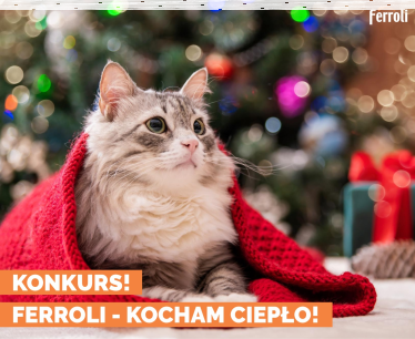 Konkurs "Ferroli - kocham ciepło"