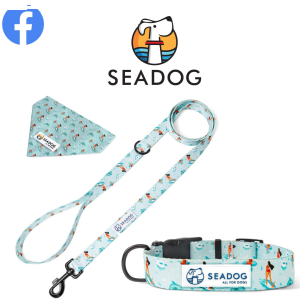 Konkurs fotograficzny "Przedstaw swojego czworonoga!"