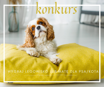 Konkurs "Zwierzęta - mistrzowie relaksu"