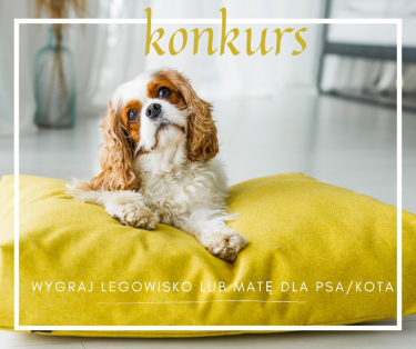 Konkurs "Zwierzęta - mistrzowie relaksu"