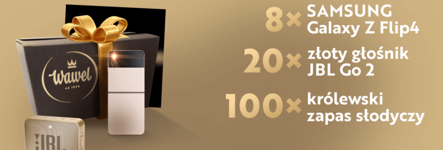 Konkurs z królewskim gestem - Wawel