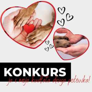 Konkurs "Ja i moja kudłata druga połówka"