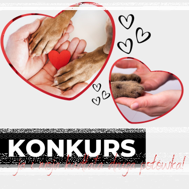 Konkurs "Ja i moja kudłata druga połówka"
