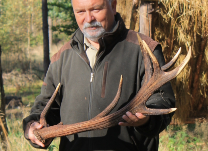 Konkurs fotograficzny "Gdy jeleń zgubi poroże, każdy znaleźć je może"