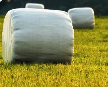 Wygraj folię do sianokiszonki