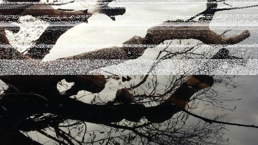 Konkurs "Kto tu był?"