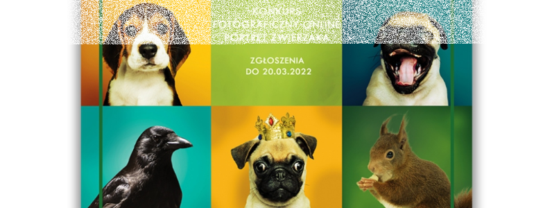 Konkurs fotograficzny online "Portret zwierzaka"