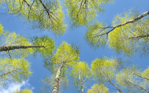 Konkurs fotograficzny "Już wiosna"