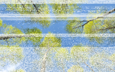 Konkurs fotograficzny "Już wiosna"