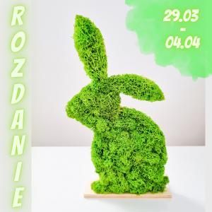 Wygraj ozdoby z mchu chrobotka