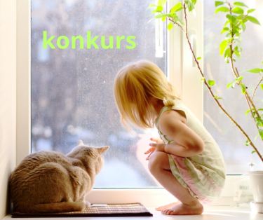 Konkurs "Przez czyste szyby świat wygląda ciekawiej"