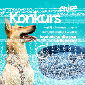 Konkurs fotograficzny "Wiosenne porządki z pupilem"