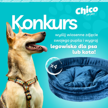 Konkurs fotograficzny "Wiosenne porządki z pupilem"