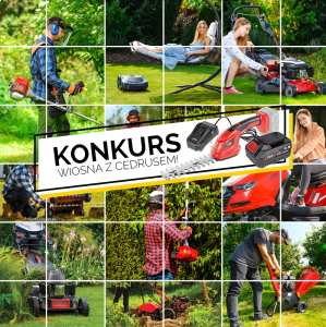 Konkurs "Wiosna z Cedrusem"