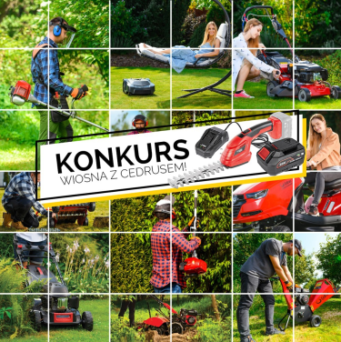 Konkurs "Wiosna z Cedrusem"