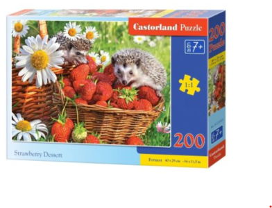 Wygraj zestaw pięknych puzzli od Castorland!