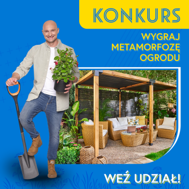 Konkurs "RazemNajlepiej – wśród zieleni"