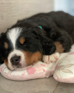 Białystok: Konkurs dla darczyńców od Świętojańska 21