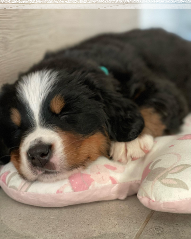 Białystok: Konkurs dla darczyńców od Świętojańska 21