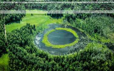 Konkurs fotograficzny "Odcienie zieleni"