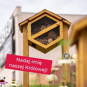 Konkurs "Nadaj imię naszej królowej"