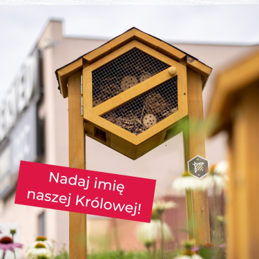 Konkurs "Nadaj imię naszej królowej"