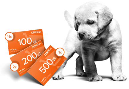 Konkurs "Budowanie Zaufanej marki Royal Canin 2023"