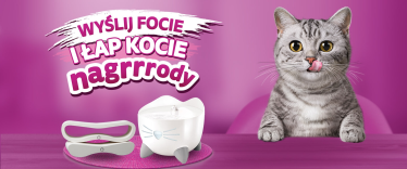 Konkurs fotograficzny "Whiskas"