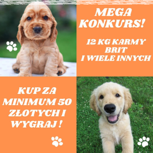 Konkurs od Sklep Pupil