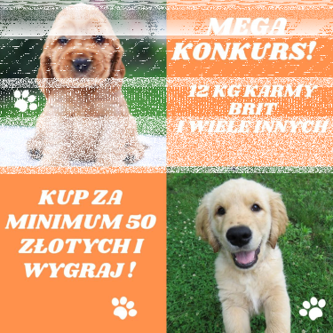 Konkurs od Sklep Pupil