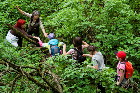 Konkurs fotograficzny "Leśna przygoda"
