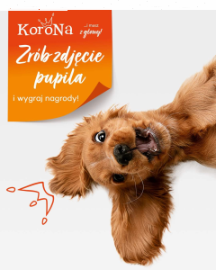 Konkurs fotograficzny "Zdjęcie pupila"