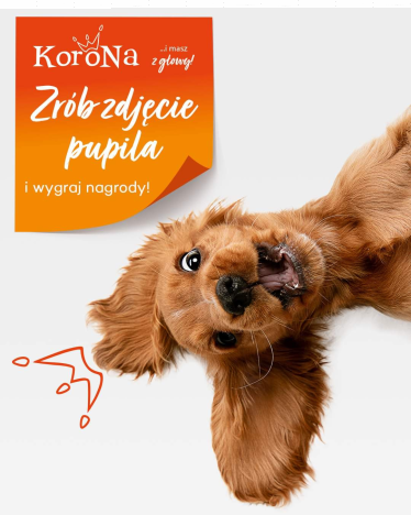 Konkurs fotograficzny "Zdjęcie pupila"