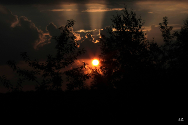 Konkurs fotograficzny "Las o zmierzchu i o świcie"