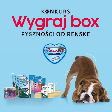 Wygraj box dla swojego psa