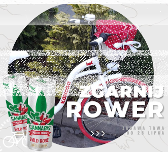 Konkurs "Wakacje z Komodo"