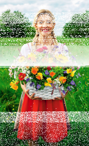 Konkurs "Pomagamy pszczołom 2023"