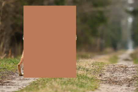 Konkurs "Jaki to zwierz?"