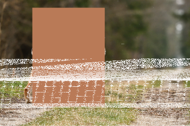 Konkurs "Jaki to zwierz?"