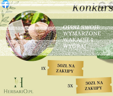 Konkurs "Wymarzone wakacje"