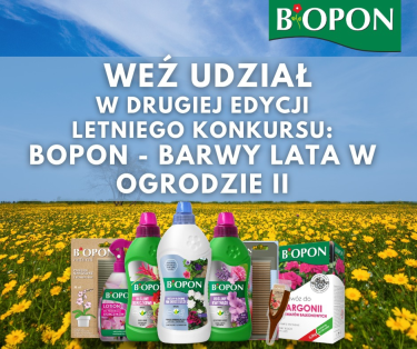 Konkurs "Bopon - barwy lata w ogrodzie II"