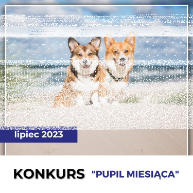Konkurs fotograficzny na "Pupila miesiąca"